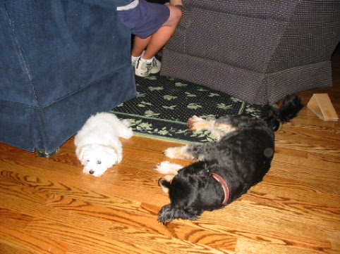 Cousin Tater with Maddie
